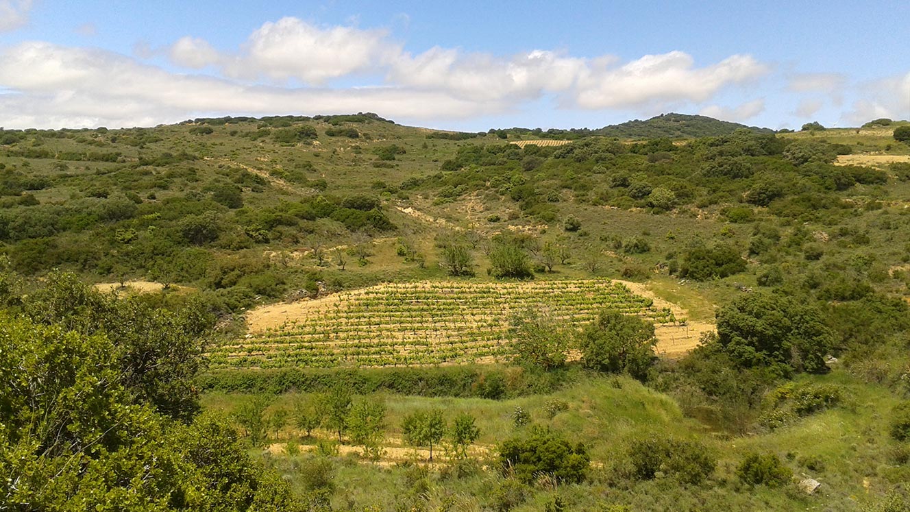 Parcelas aisladas. Entorno natural salvaje