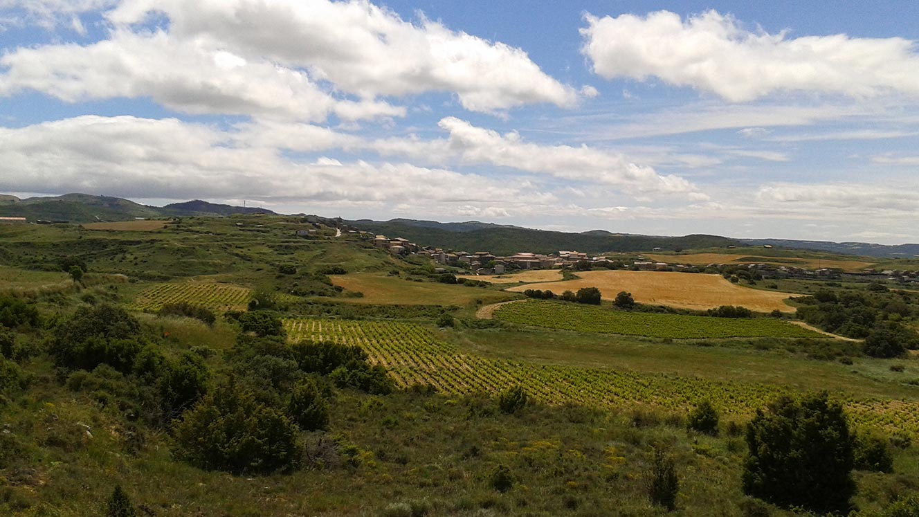 Paisaje San Martín de Unx, Baja Montaña de Navarra